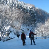 Scopri il Parco con le racchette da neve: la Foresta del Monte Penna