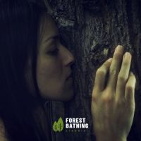 Forest bathing - il respiro degli alberi
