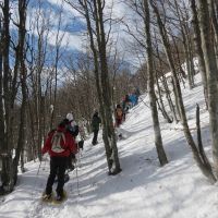 Scopri il Parco con le racchette da neve: da Rocca d’Aveto al Passo del Tomarlo 
